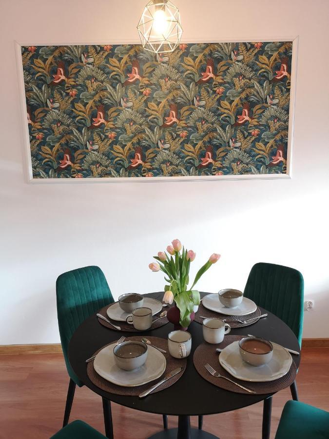 Apartament Reymonta Park Apartment Piotrkow Trybunalski Ngoại thất bức ảnh